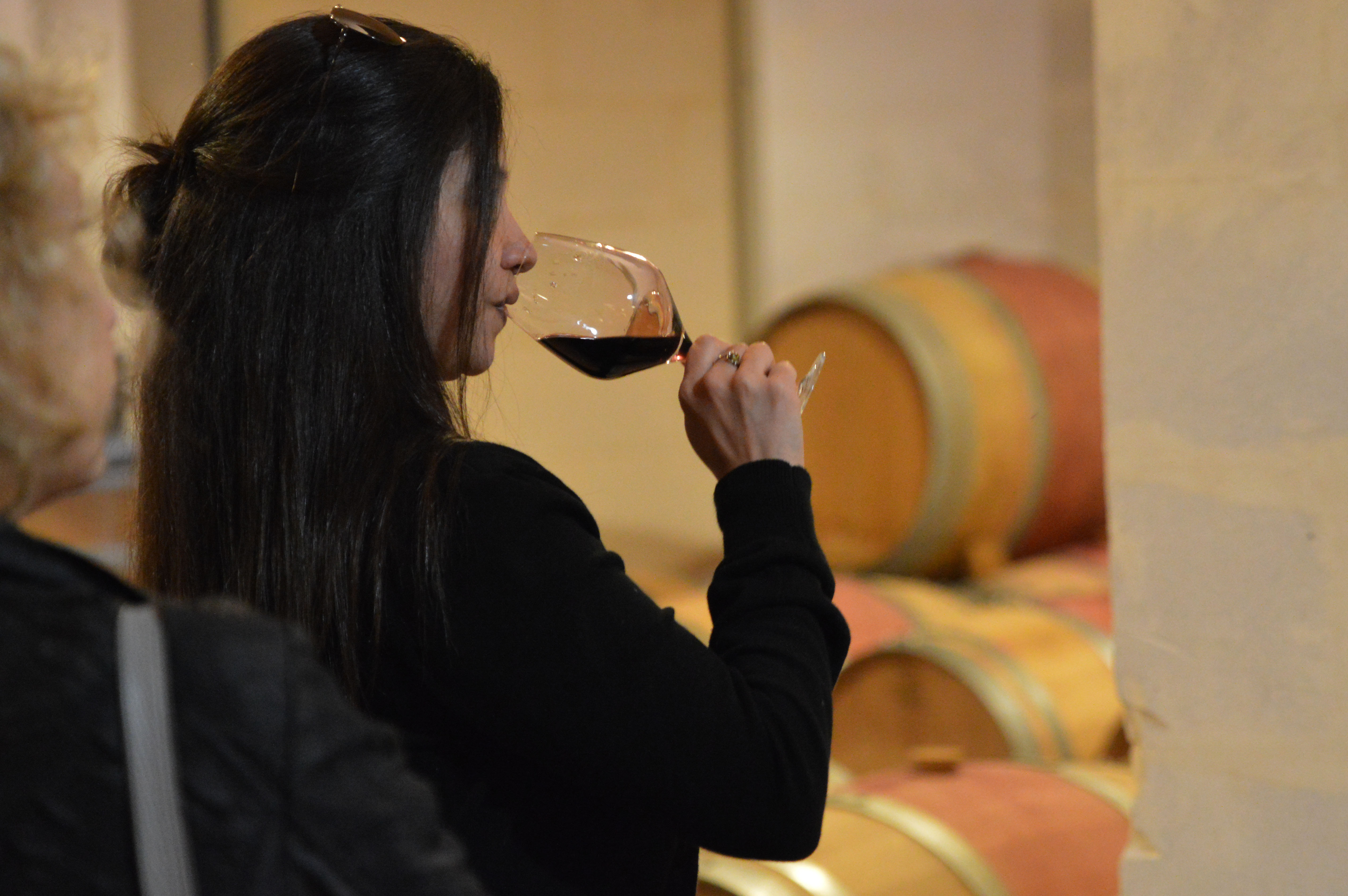 Dégustation en cave du Médoc