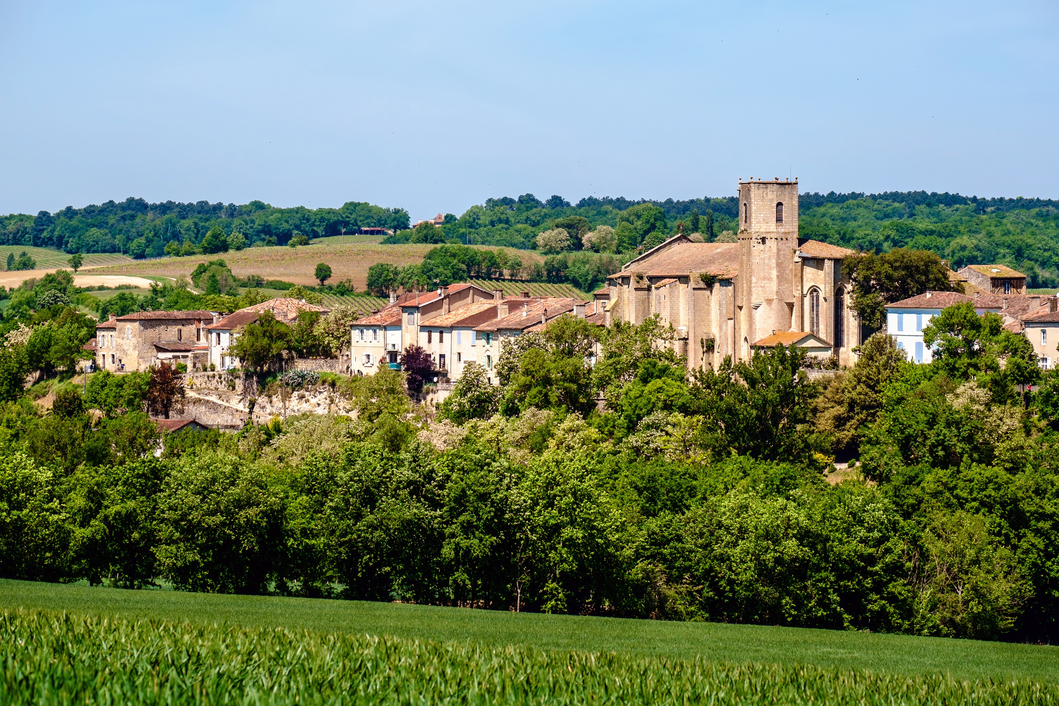 Vue de Montréal du Gers