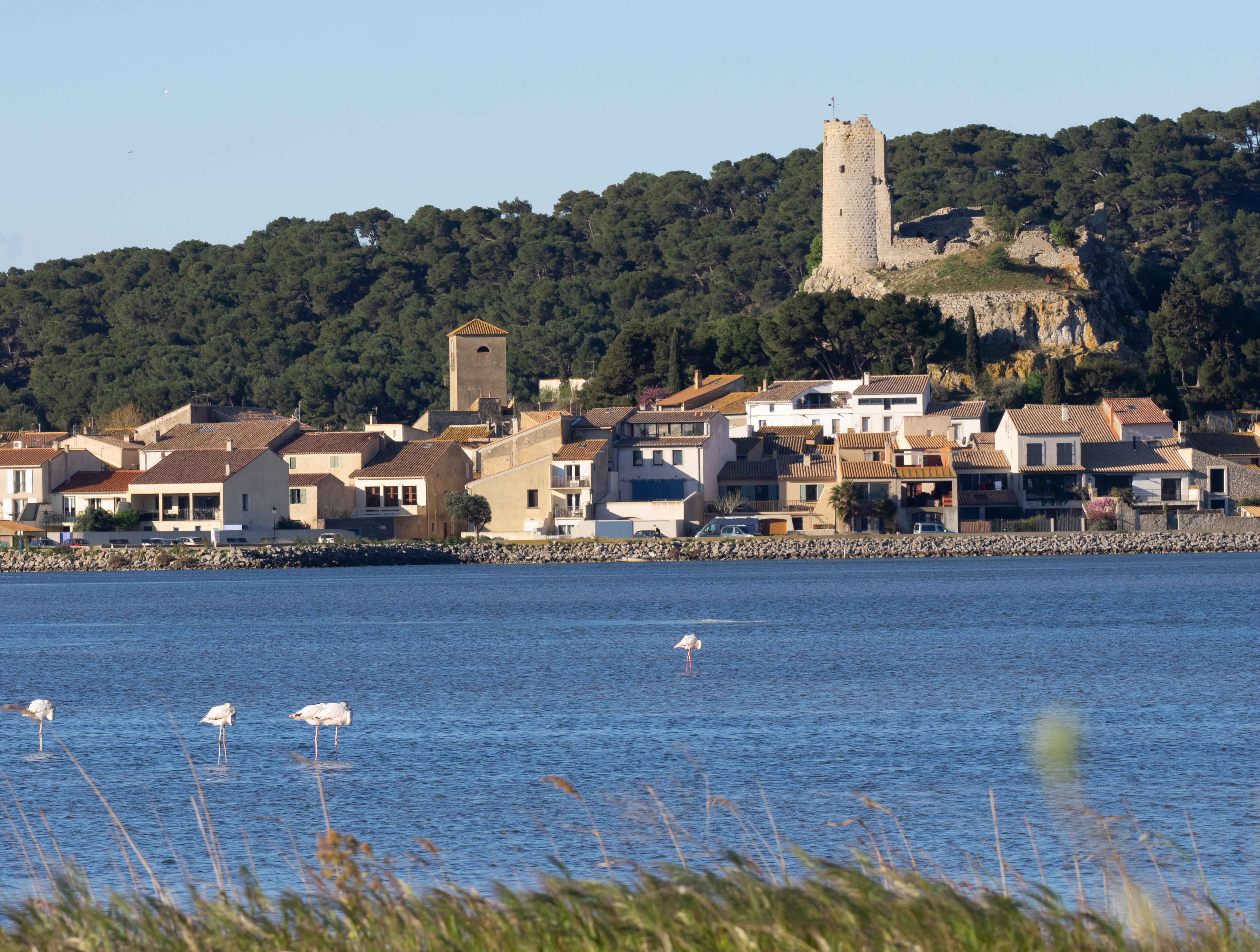 Etang de Gruissan