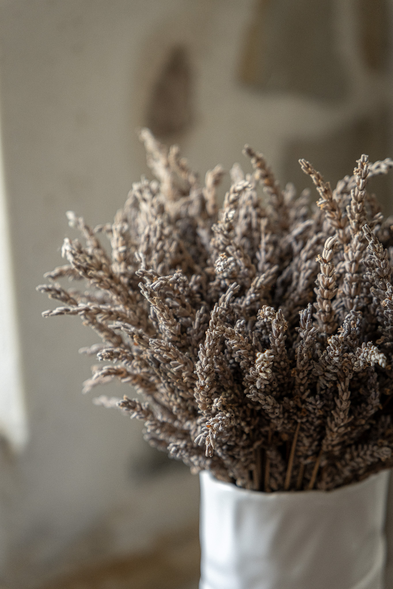 Hébergement Ferme S.