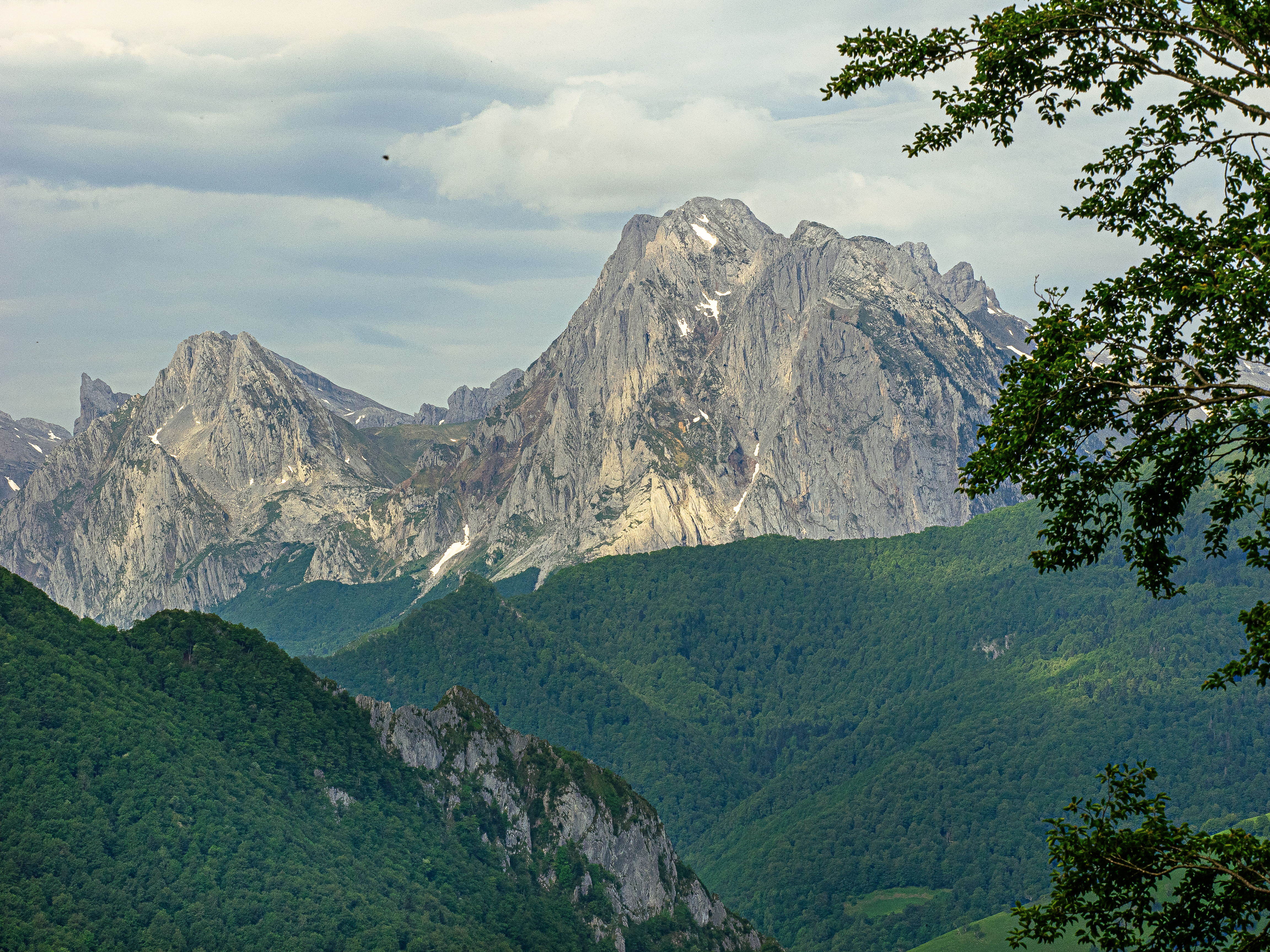 Billare vallée d'Aspe