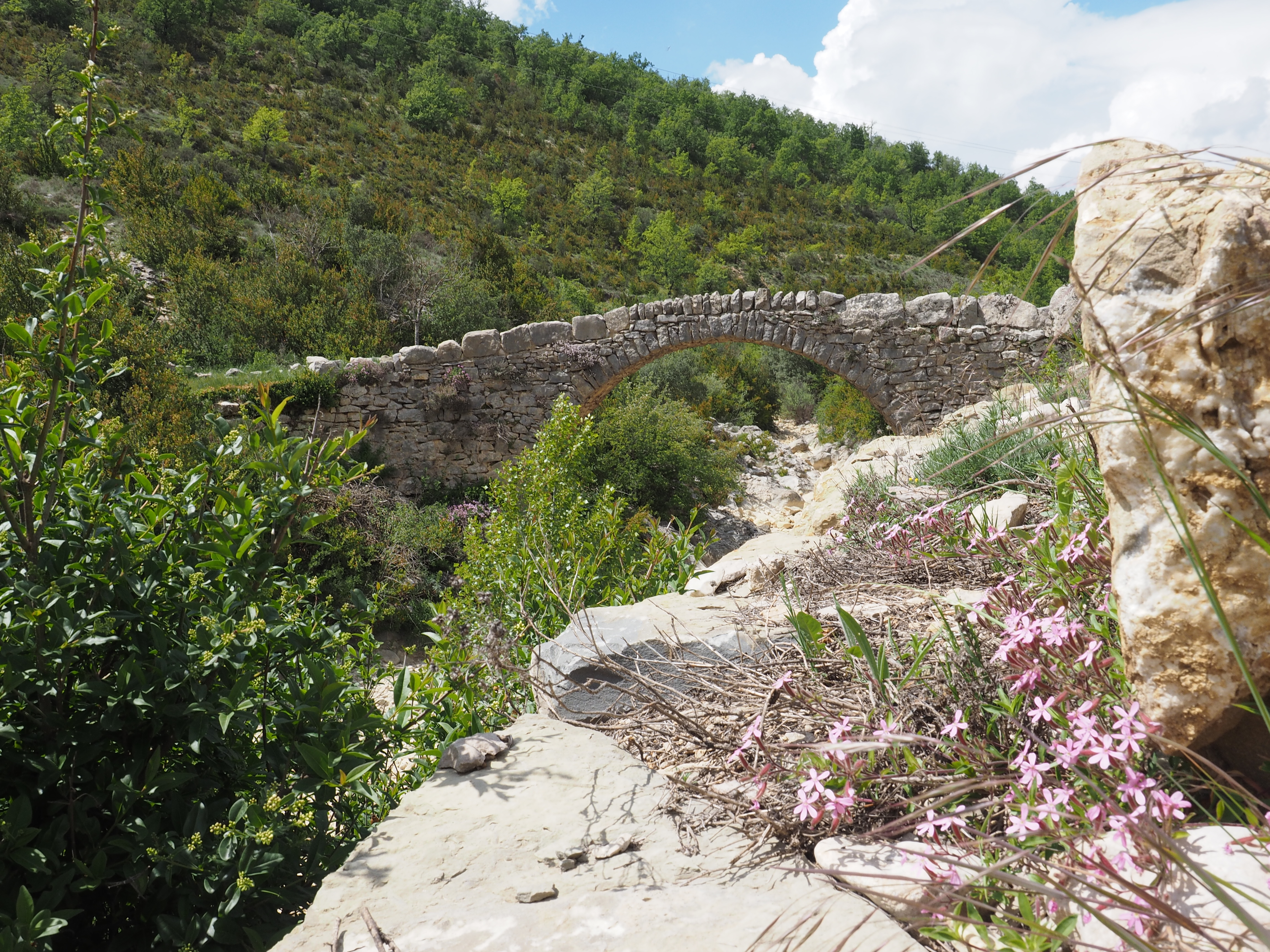 Pont Roman Paules Sarsa Guara