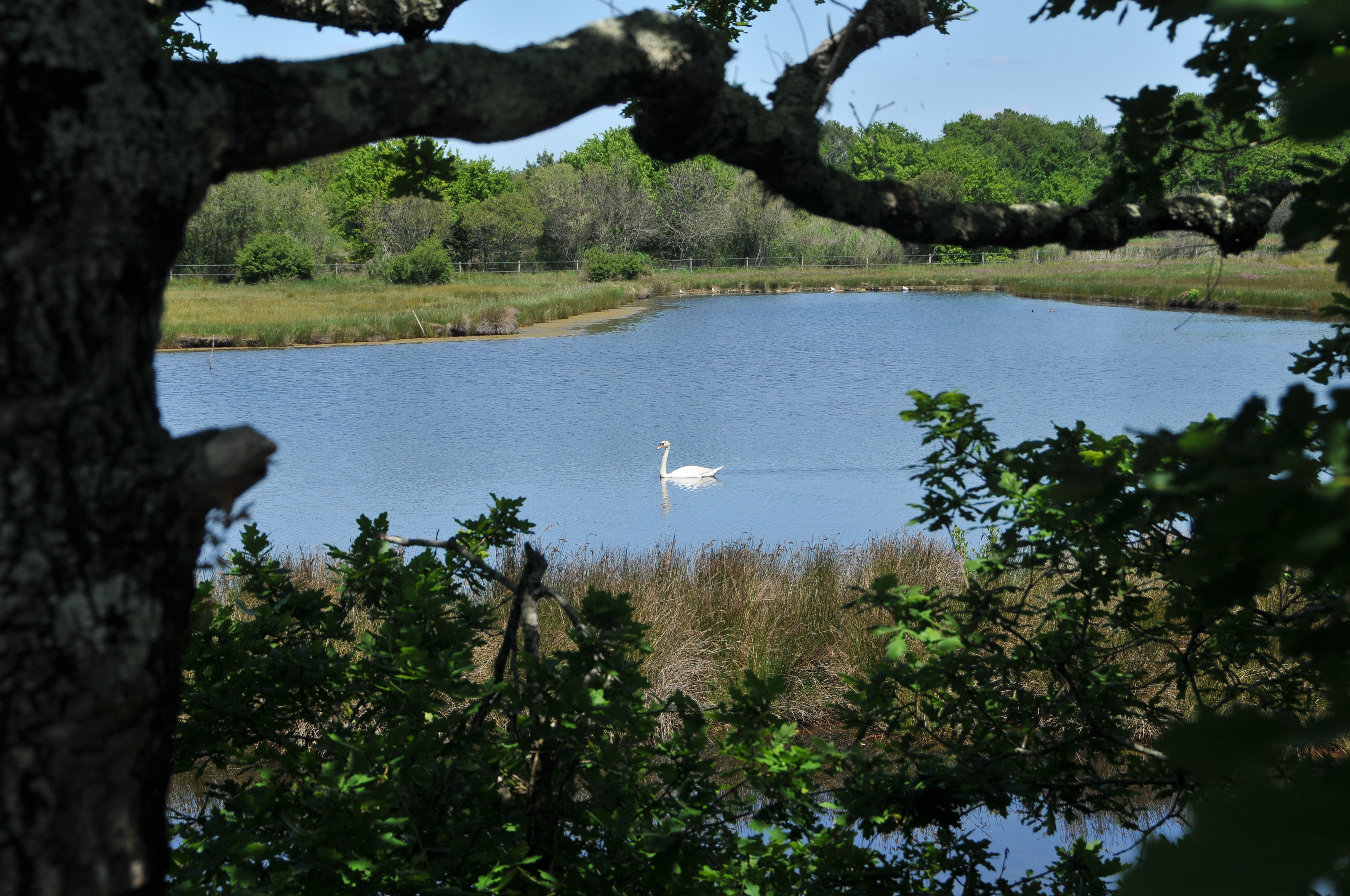 Arcachon Cap Ferret B.Valcke
