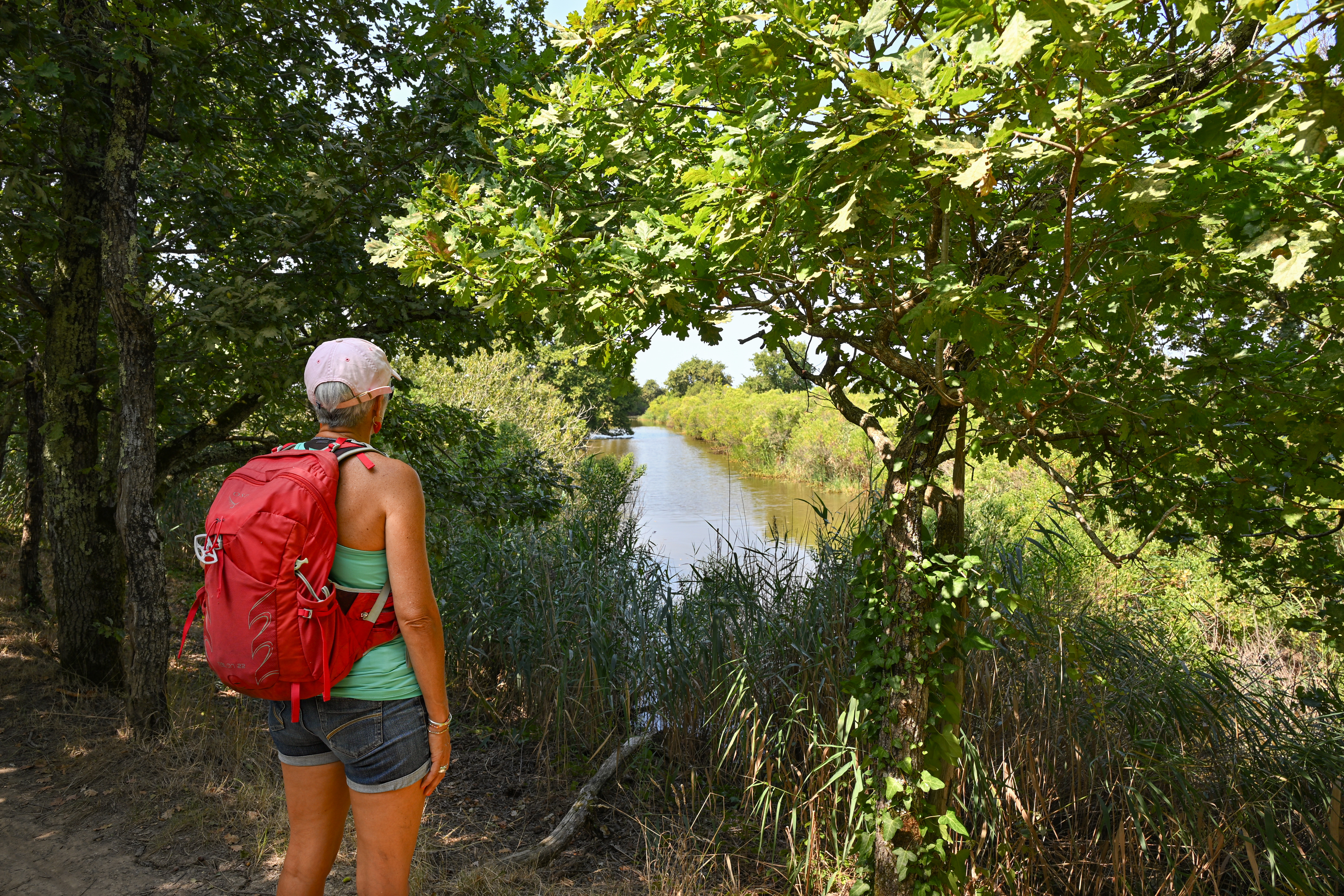 Arcachon réserve du Teich