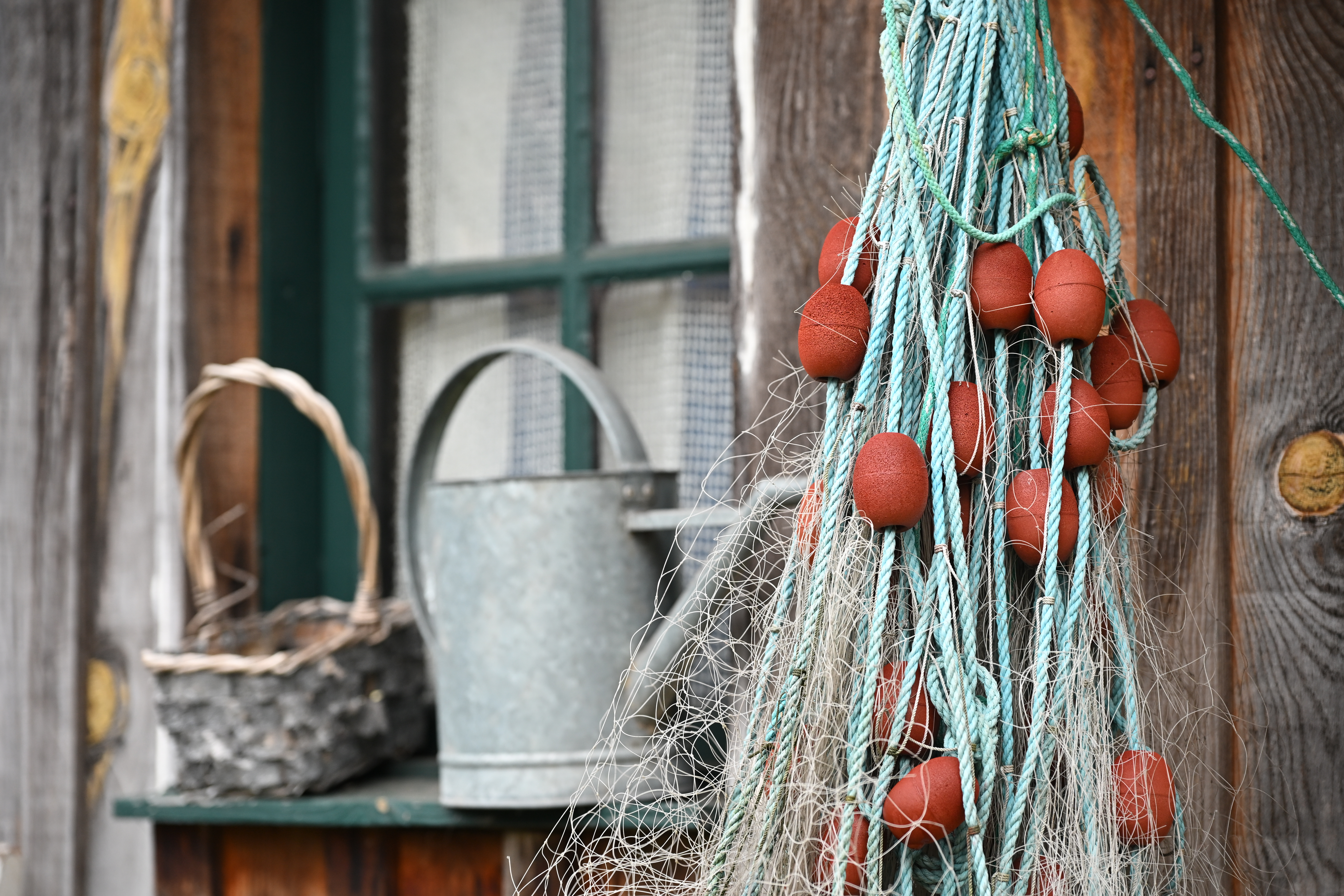 Arcachon Cap Ferret L'Herbe