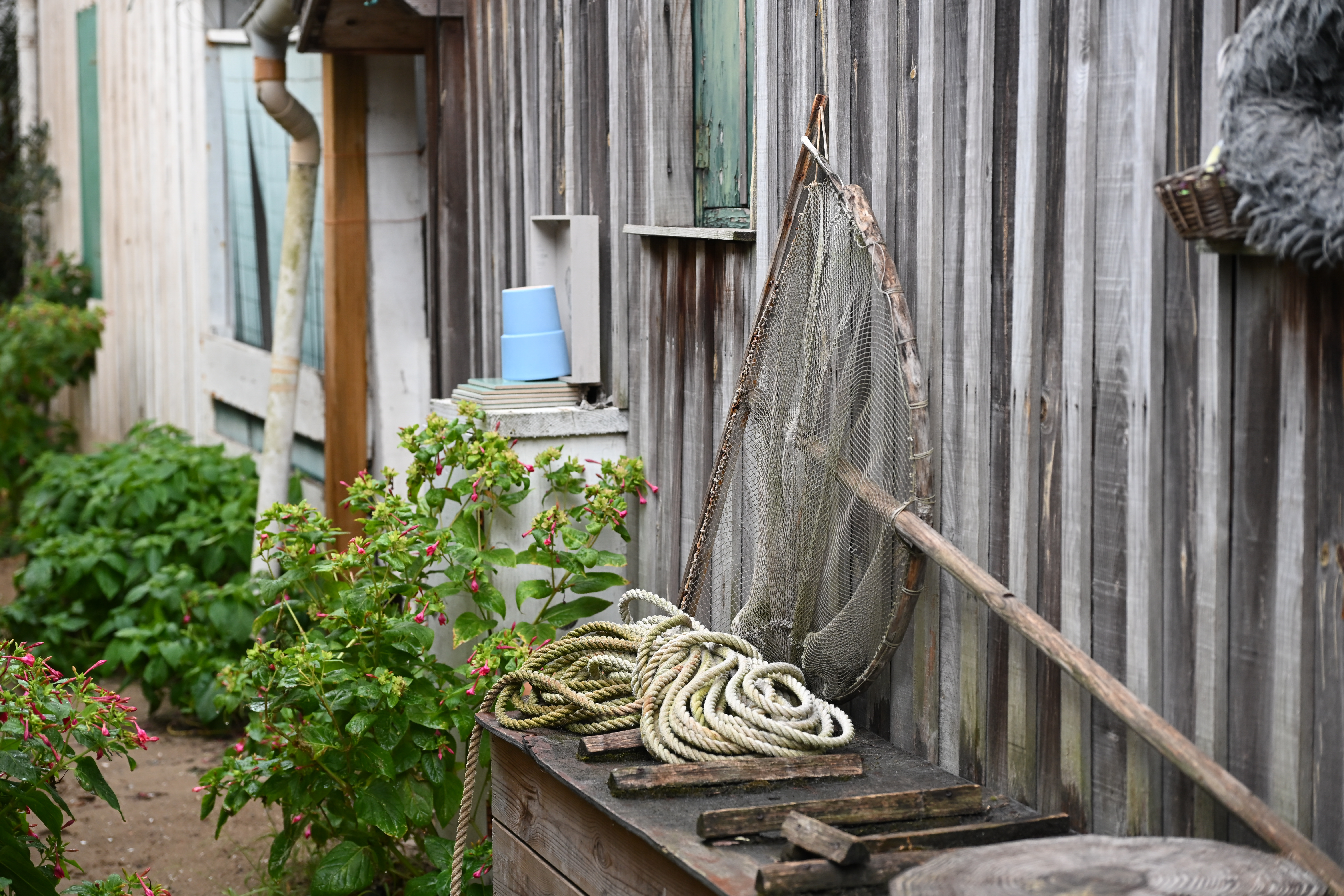 Arcachon Cap Ferret L'Herbe
