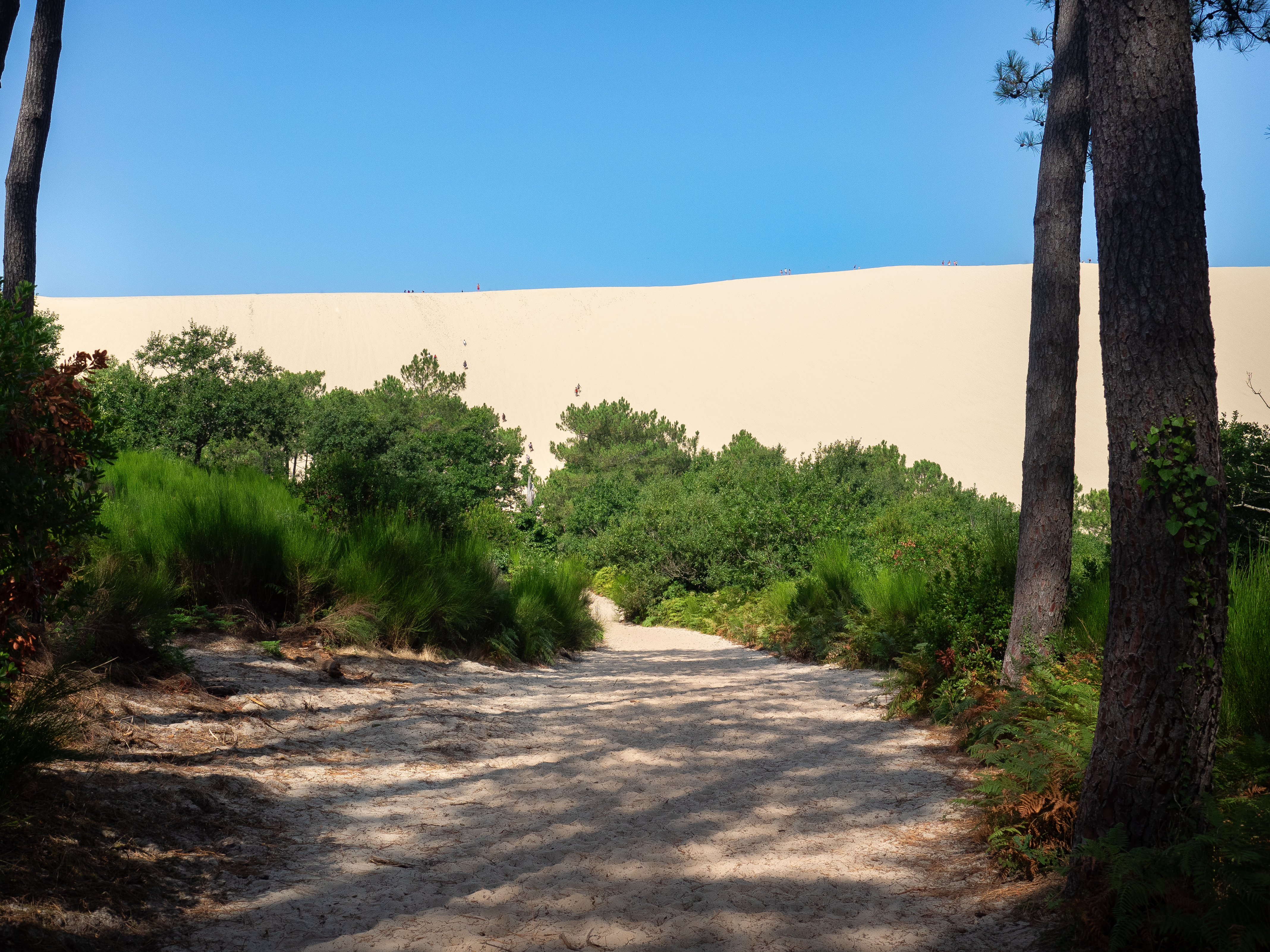 Arcachon Dune du Pyla