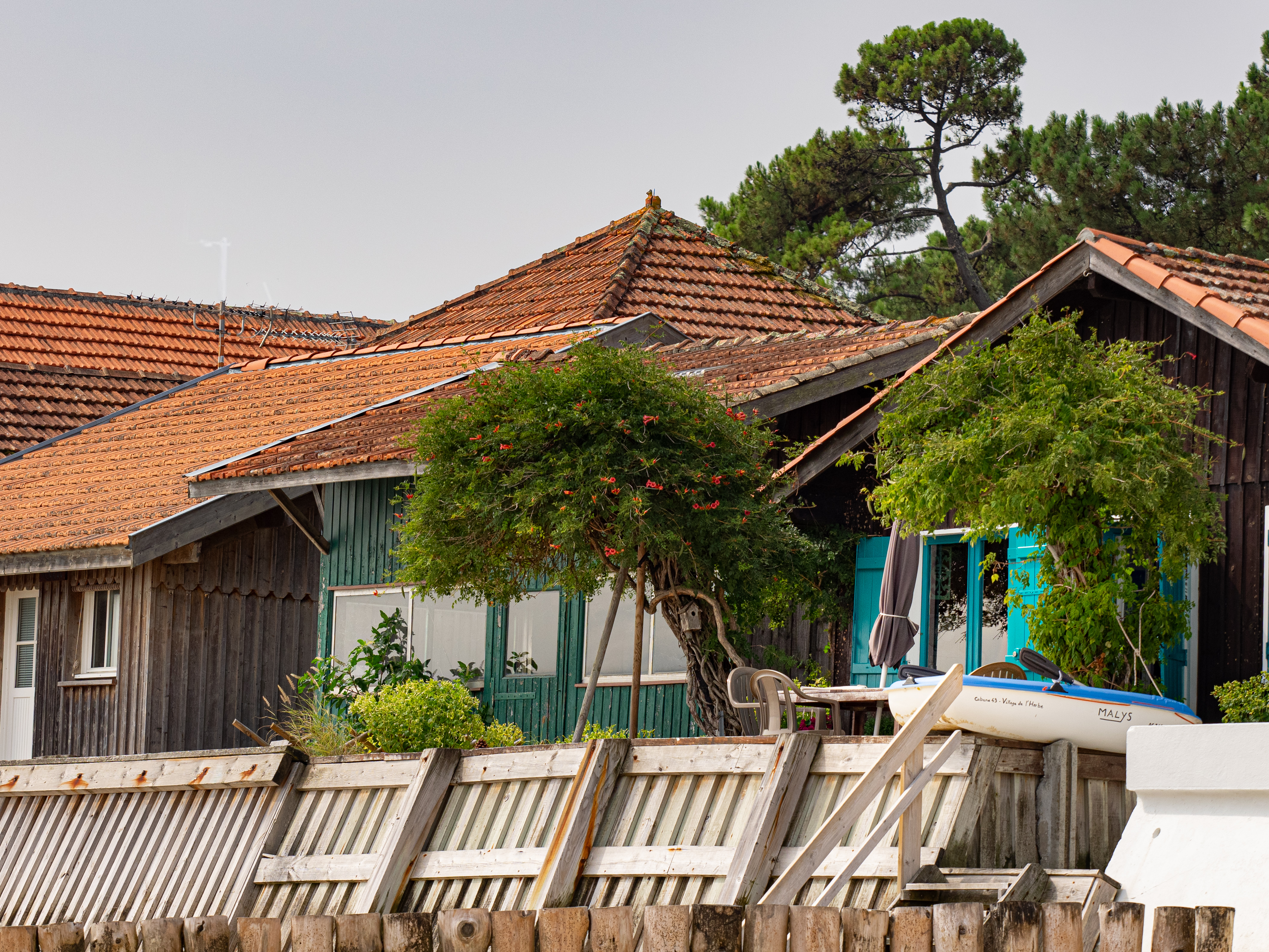 Arcachon Cap Ferret L'Herbe