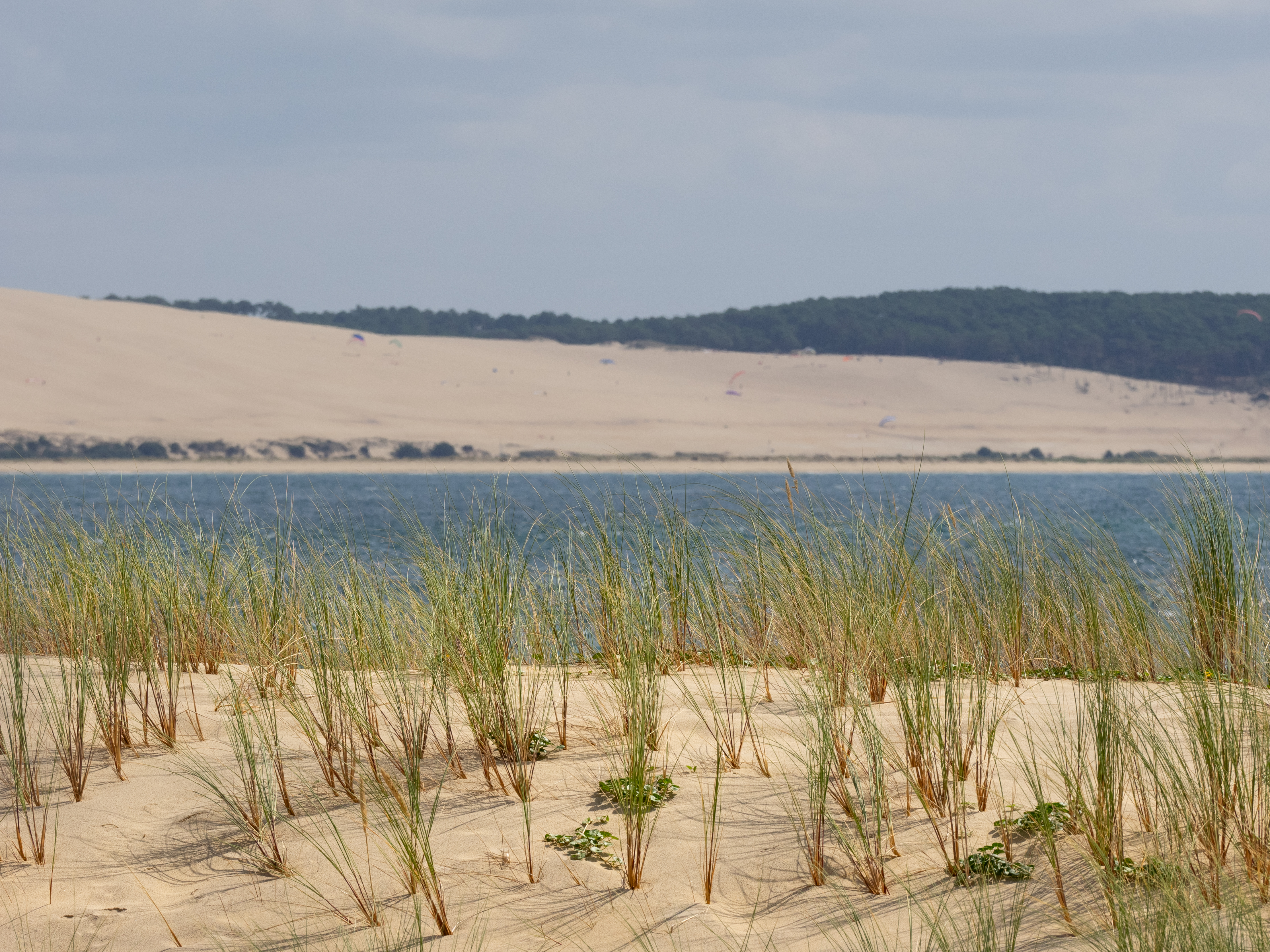 Arcachon Cap Ferret