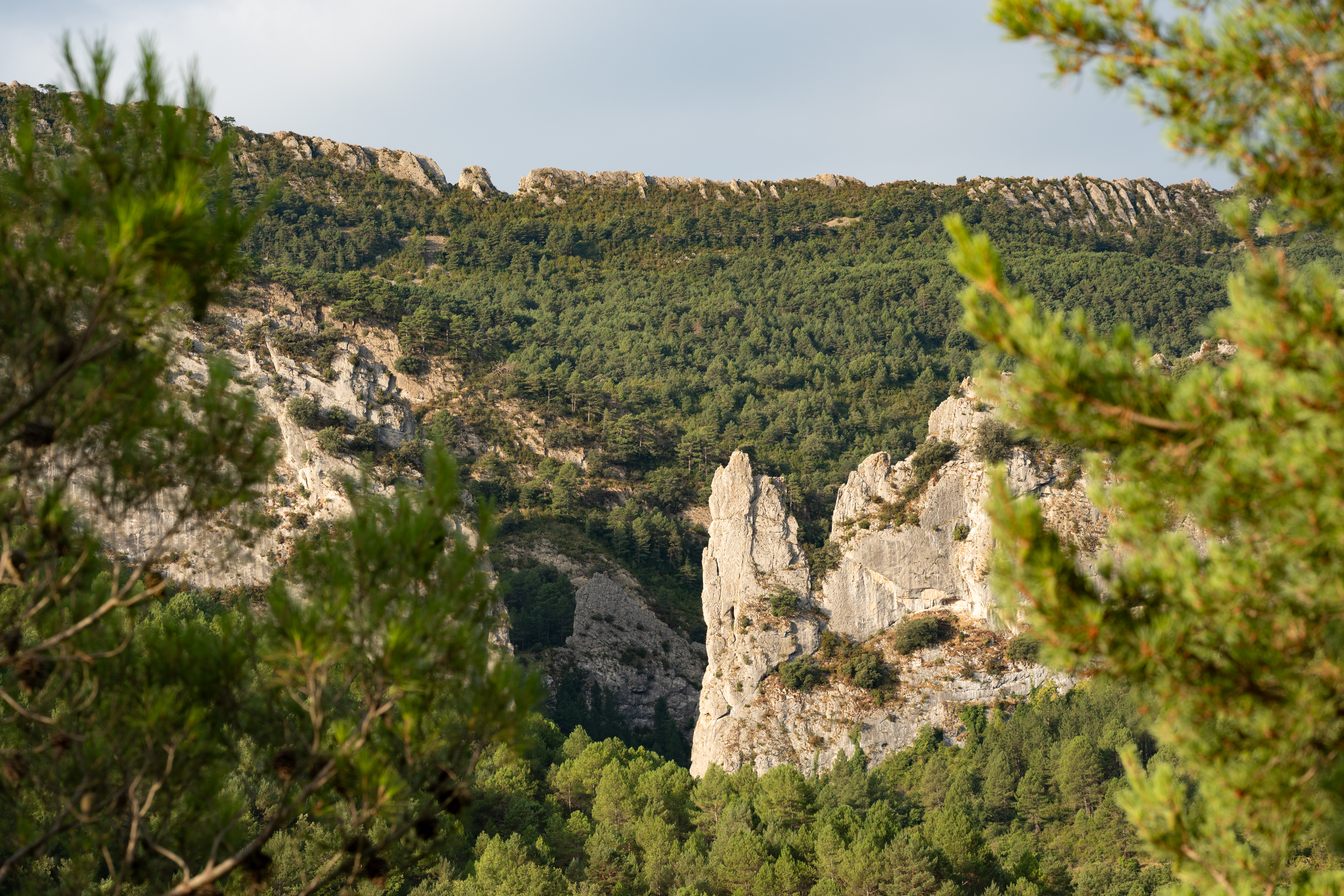 Foz de Salinas