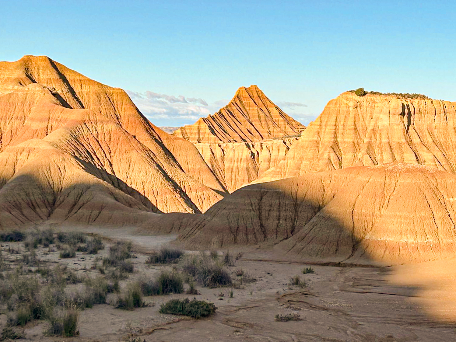 Bardenas