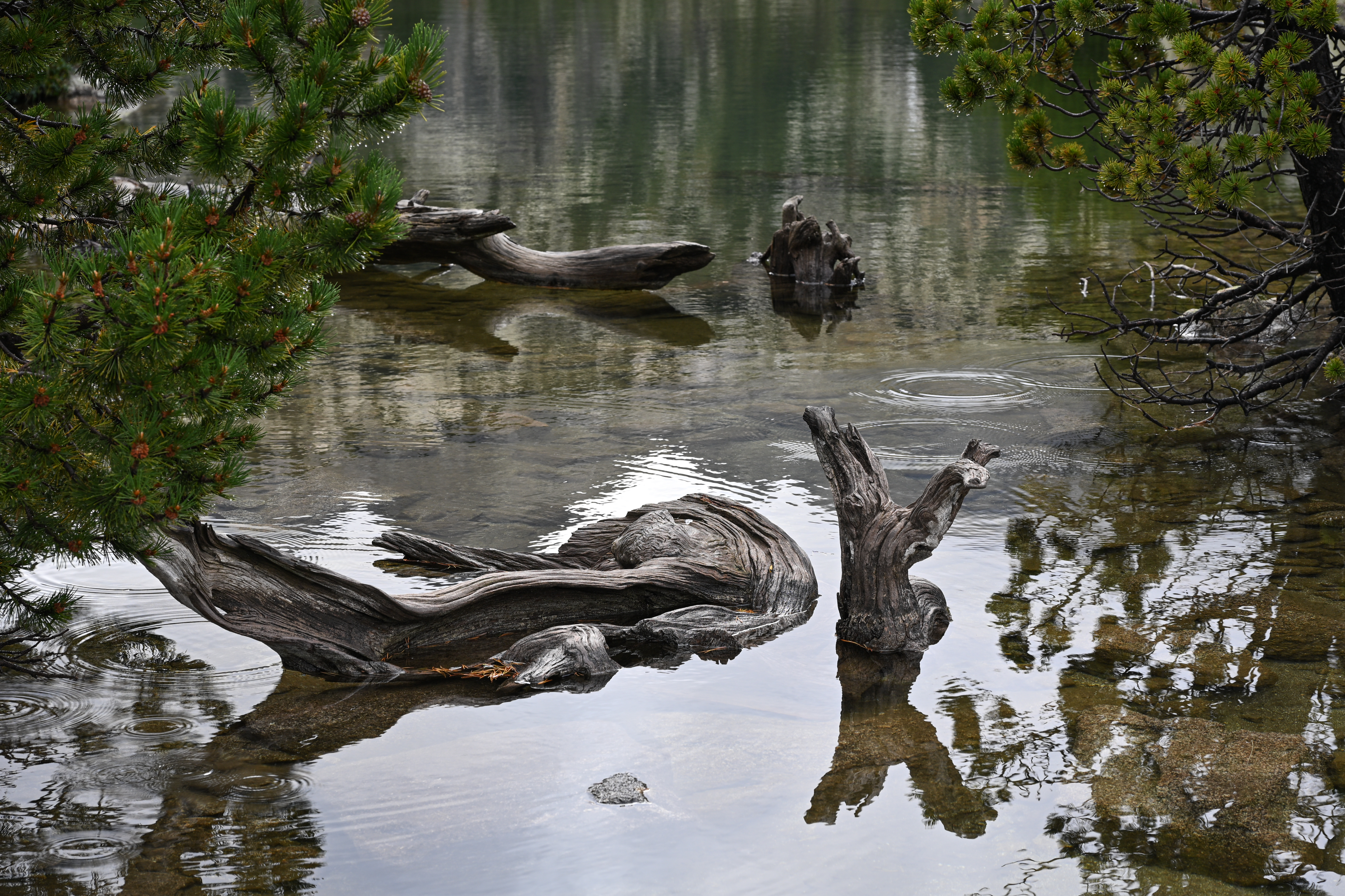 Estany Tort de Peguera Encantats