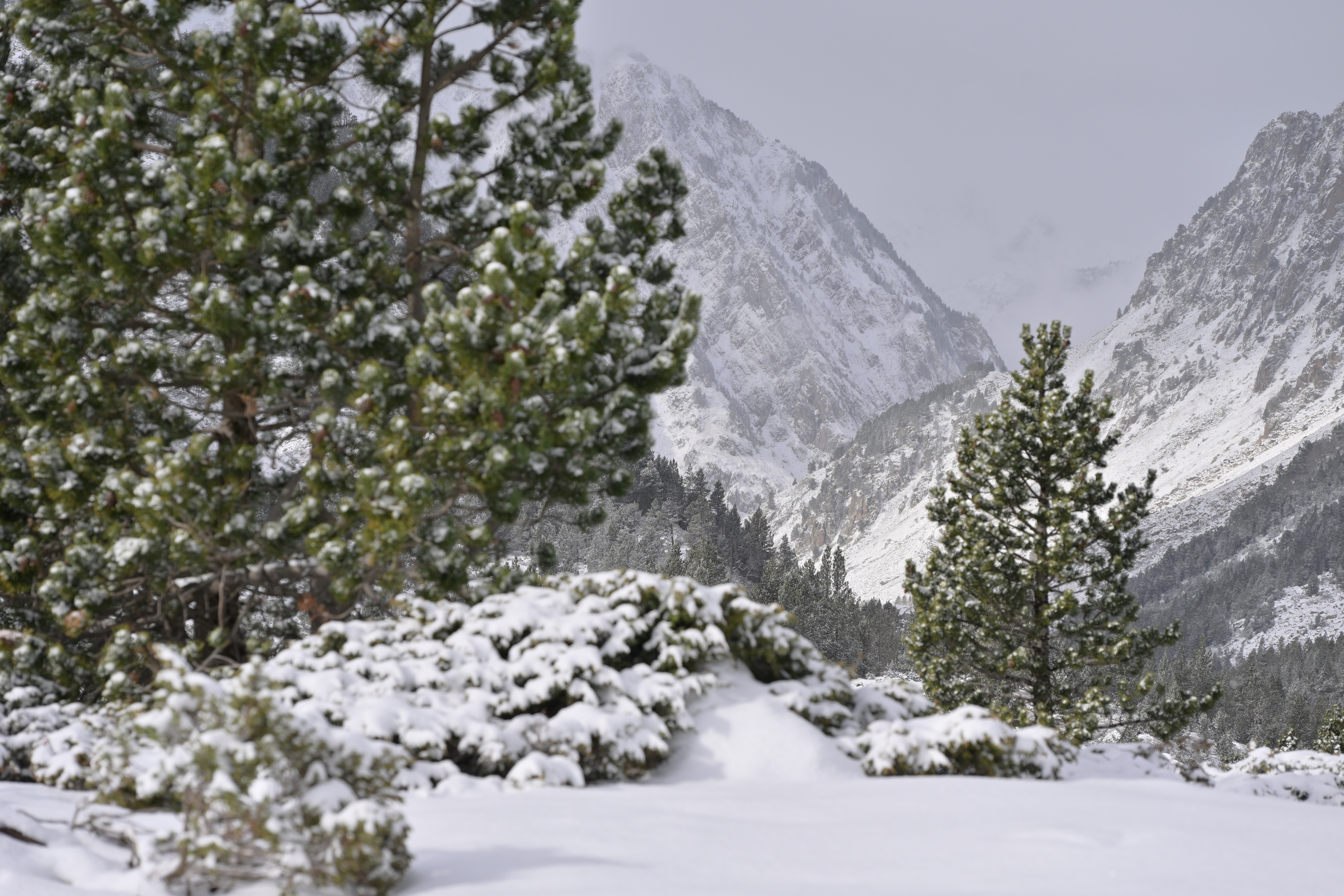 Vallon d'Aygues-Cluses Néouvielle Neige
