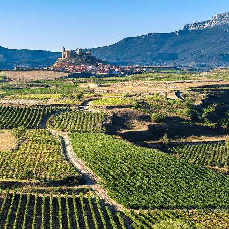 Rioja AdobeStock