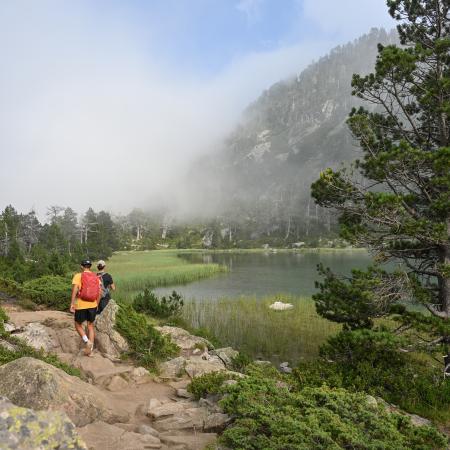 Laquettes du Néouvielle