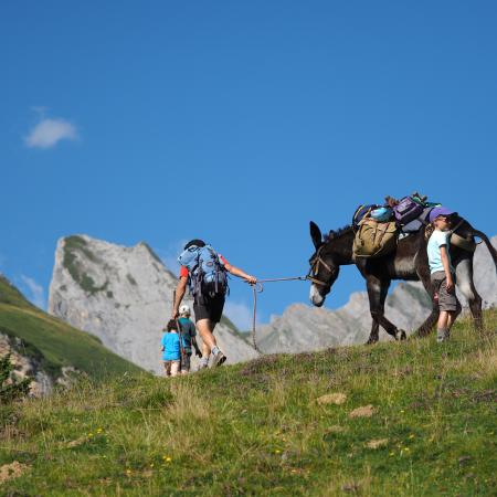 Erreur de chargement