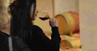 Dégustation en cave du Médoc