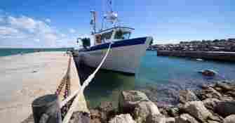 La perle gruissanaise