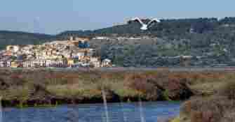 Flamant rose et Bages