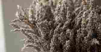 Hébergement Ferme S.