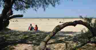 Arcachon Cap Ferret B.Valcke