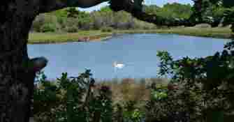 Arcachon Cap Ferret B.Valcke