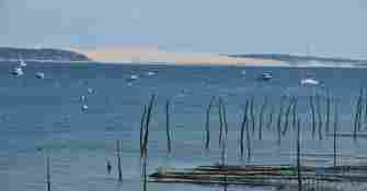 Arcachon Cap Ferret B.Valcke