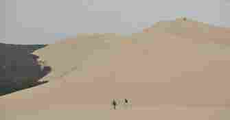 Arcachon Cap Ferret B.Valcke