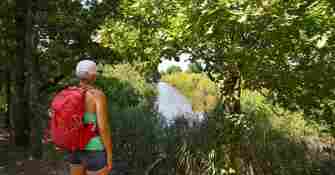 Arcachon réserve du Teich