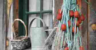 Arcachon Cap Ferret L'Herbe