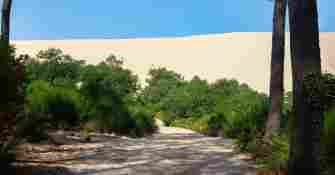 Arcachon Dune du Pyla