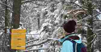 Raquettes Pont d'Espagne