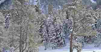 Raquettes Pont d'Espagne