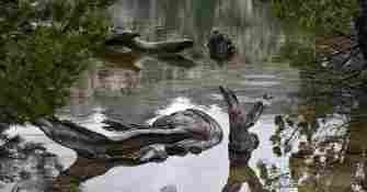 Estany Tort de Peguera Encantats