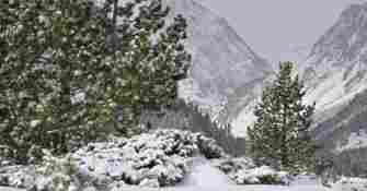 Vallon d'Aygues-Cluses Néouvielle Neige