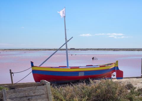 Salins de Gruissan